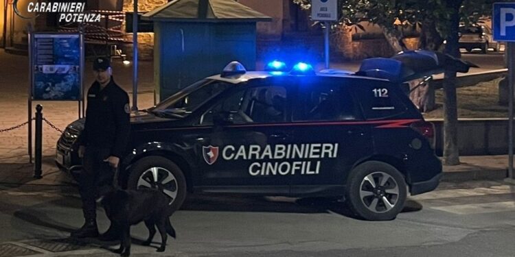Brienza, 52enne arrestato con eroina: continuano i controlli antidroga dei Carabinieri