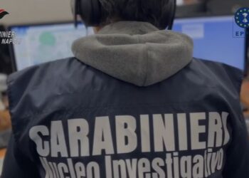 Truffe su fondi europei destinati al comparto agricolo: sequestri per oltre 1 milione di euro e 14 indagati, coinvolti funzionari pubblici e professionisti
