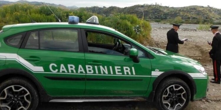 Capaccio Paestum, rifiuti interrati vicino al fiume: sequestrata l’area