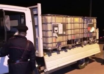 Giornata della Legalità: nel Vallo di Diano, l’ambiente resta la vittima silenziosa delle mafie