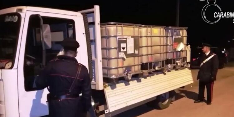 Giornata della Legalità: nel Vallo di Diano, l’ambiente resta la vittima silenziosa delle mafie