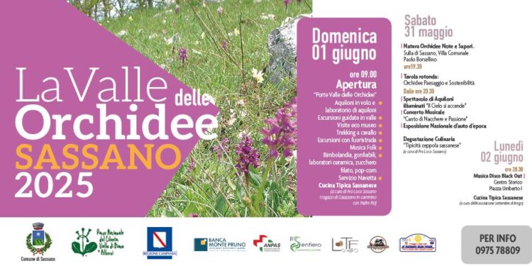 Sassano in festa: dal 31 maggio al 2 giugno torna la magia della Valle delle Orchidee tra natura, gusto e spettacolo