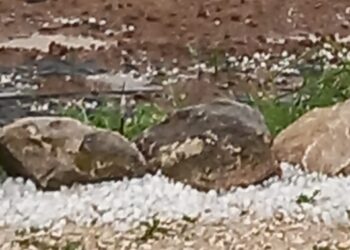 Nuova allerta meteo in Campania: possibili grandinate e raffiche di vento