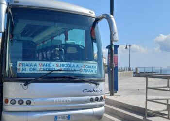 Riparte la linea estiva di Autolinee Curcio: dal Vallo di Diano al mare della Calabria