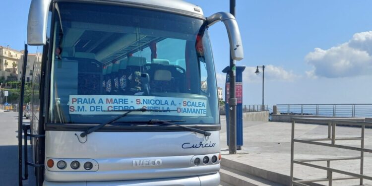 Riparte la linea estiva di Autolinee Curcio: dal Vallo di Diano al mare della Calabria