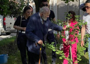 Sant’Arsenio: conferita una Benemerenza Civica al professore Rino Mele