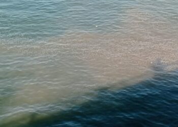 Chiazze scure tra Pastena e Torrione: torna il mare sporco a Salerno, monta la protesta