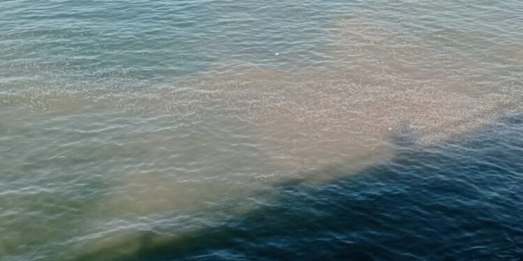 Chiazze scure tra Pastena e Torrione: torna il mare sporco a Salerno, monta la protesta
