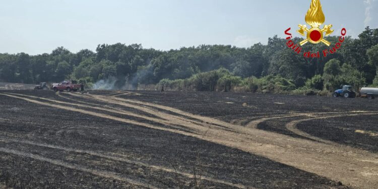 Maxi incendio a Persano: fiamme minacciano area militare