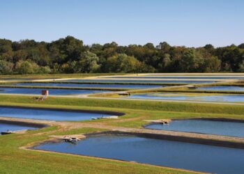 La Regione Basilicata approva due bandi a sostegno dell’acquacoltura