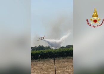 Domati gli incendi a Bernalda e Ferrandina: famiglie evacuate rientrano in casa. Non si esclude il dolo