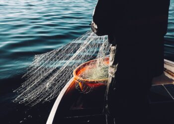 “Aree Marine Protette a Tempo”: la proposta della Fondazione Vassallo per una pesca sostenibile e partecipata