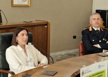 Tre giorni di raccolta dell’organico a Sala Consilina per il periodo estivo