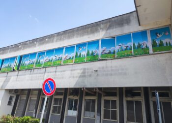 Le cicogne sulle vetrate del Punto nascita di Polla: i disegni che abbelliscono il nido del “Curto”