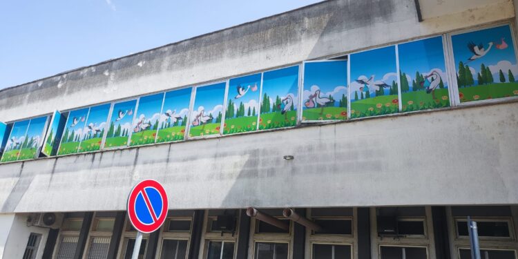 Le cicogne sulle vetrate del Punto nascita di Polla: i disegni che abbelliscono il nido del “Curto”