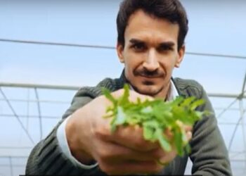 Rucola della Piana del Sele anti-age: l’erucina dagli scarti diventa ingrediente cosmetico innovativo