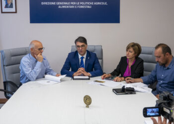 Emergenza cinghiali. La Basilicata trasforma il problema in opportunità: l’assessore Cicala presenta i risultati del progetto di filiera