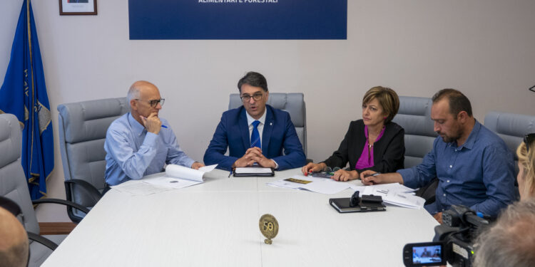 Emergenza cinghiali. La Basilicata trasforma il problema in opportunità: l’assessore Cicala presenta i risultati del progetto di filiera