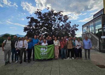 Nascono i primi 27 certificatori forestali della Campania: via alla gestione sostenibile dei boschi