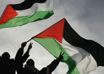 Il Consiglio Provinciale di Potenza riconosce lo Stato di Palestina