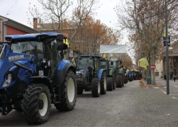 Coldiretti Campania: dalla Regione arriva l’integrazione del gasolio agricolo per irrigazione e allevamenti