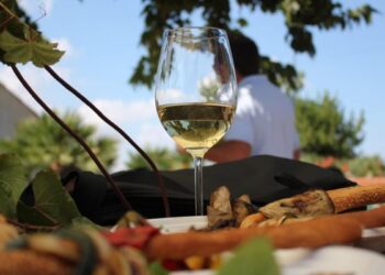 Turismo enogastronomico e sviluppo locale: la Campania stanzia 9,5 milioni di euro per promuoverli