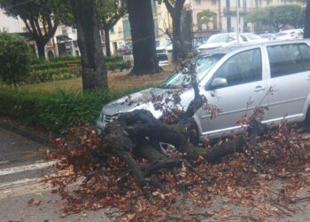 Sant’Arsenio, grosso ramo cade su un’auto