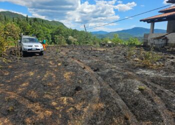 Montesano sulla Marcellana, incendio in un terreno agricolo: provvidenziale intervento dell’anticendio boschivo