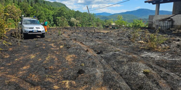 Montesano sulla Marcellana, incendio in un terreno agricolo: provvidenziale intervento dell’anticendio boschivo