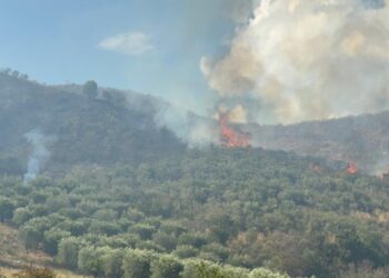 Incendio devastante a Roscigno. Provvidenziale intervento dell’antincendio della Comunità Montana Alburni