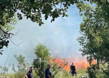 Incendio tra Ottati e Sant’Angelo a Fasanella. Il sindaco Guadagno: “Opera di cervelli malati”