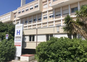 Incendio nella pineta di Metaponto Lido: dimessi i tre feriti, tra cui un neonato e una donna incinta