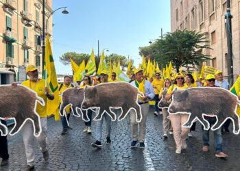 Coldiretti Salerno. Emergenza cinghiali: “Nel Parco Regionale dei Monti Picentini arrivano i cacciatori abilitati”