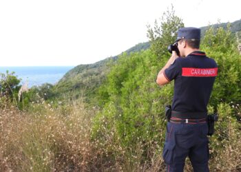 Ferragosto nel Parco del Cilento, Vallo di Diano Alburni: i Carabinieri Forestali rafforzano i controlli