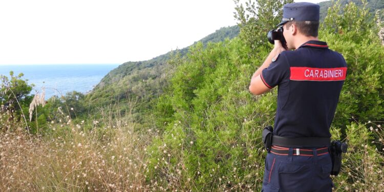 Ferragosto nel Parco del Cilento, Vallo di Diano Alburni: i Carabinieri Forestali rafforzano i controlli