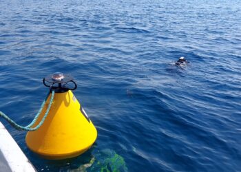 Baia di Ogliastro Marina: completata l’installazione delle boe di ormeggio nella Zona C dell’Area Marina Protetta di Santa Maria di Castellabate