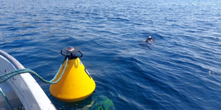 Baia di Ogliastro Marina: completata l’installazione delle boe di ormeggio nella Zona C dell’Area Marina Protetta di Santa Maria di Castellabate