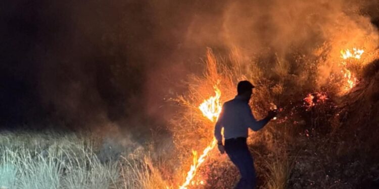 Incendio tra Castelcivita e Ottati: fiamme domate anche dal consigliere regionale Andrea Volpe