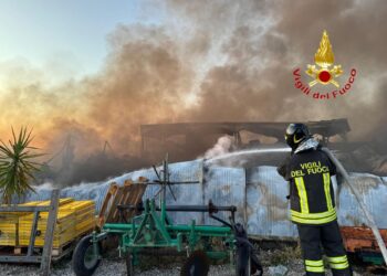 Incendio in capannone di un’azienda agricola a Pontecagnano