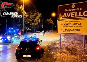 Furto e reati ambientali a Lavello: tre arresti e due denunce grazie all’intervento dei Carabinieri