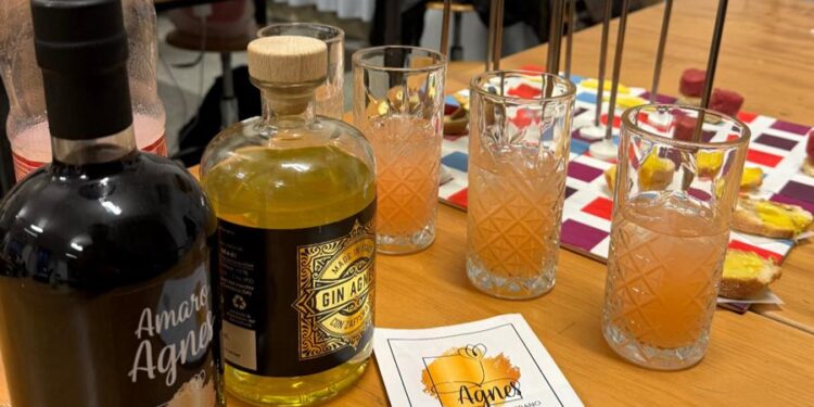 Il Gin Agnes di Sala Consilina diventa arte: Colitti e Fallico lo portano a Vicenza con il Politecnico di Torino