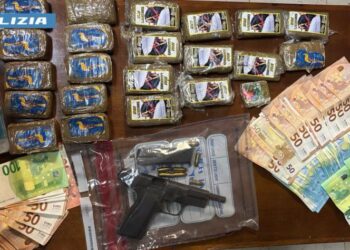 Armi e droga nell’auto e in garage: arrestato 48enne potentino