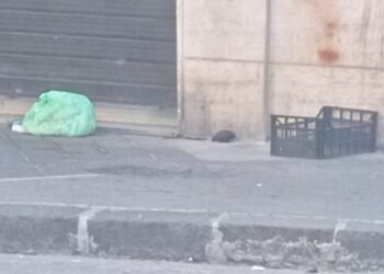 Salerno, ordigno davanti a un negozio a Pastena: paura tra i residenti, intervengono gli artificieri