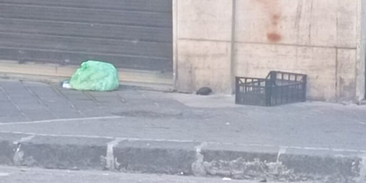 Salerno, ordigno davanti a un negozio a Pastena: paura tra i residenti, intervengono gli artificieri