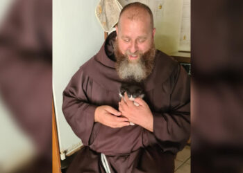 Fervore a Padula per i festeggiamenti di San Francesco d’Assisi, simbolo di pace e amore per gli animali