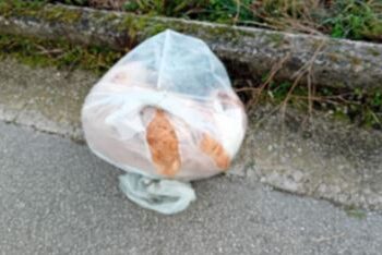 Cane morto e chiuso in una busta: ritrovato nelle campagne di Sant’Arsenio