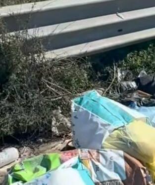Discariche sulla Statale Aversana a Battipaglia: l’allarme di Aila per il degrado ambientale