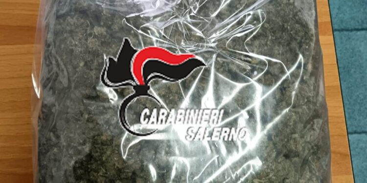 Agropoli, 36enne arrestato con un chilo di marijuana e cocaina
