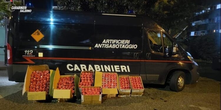 Viaggiano con 120 chili di botti nel furgone: due arresti a Montecorvino Pugliano