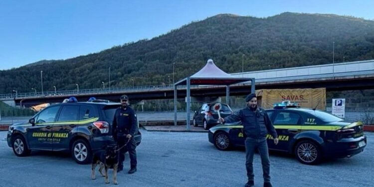 Spaccio di droga, blitz tra Potenza, Rionero, Lauria e Tito: 8 segnalati e sequestri con i cani antidroga